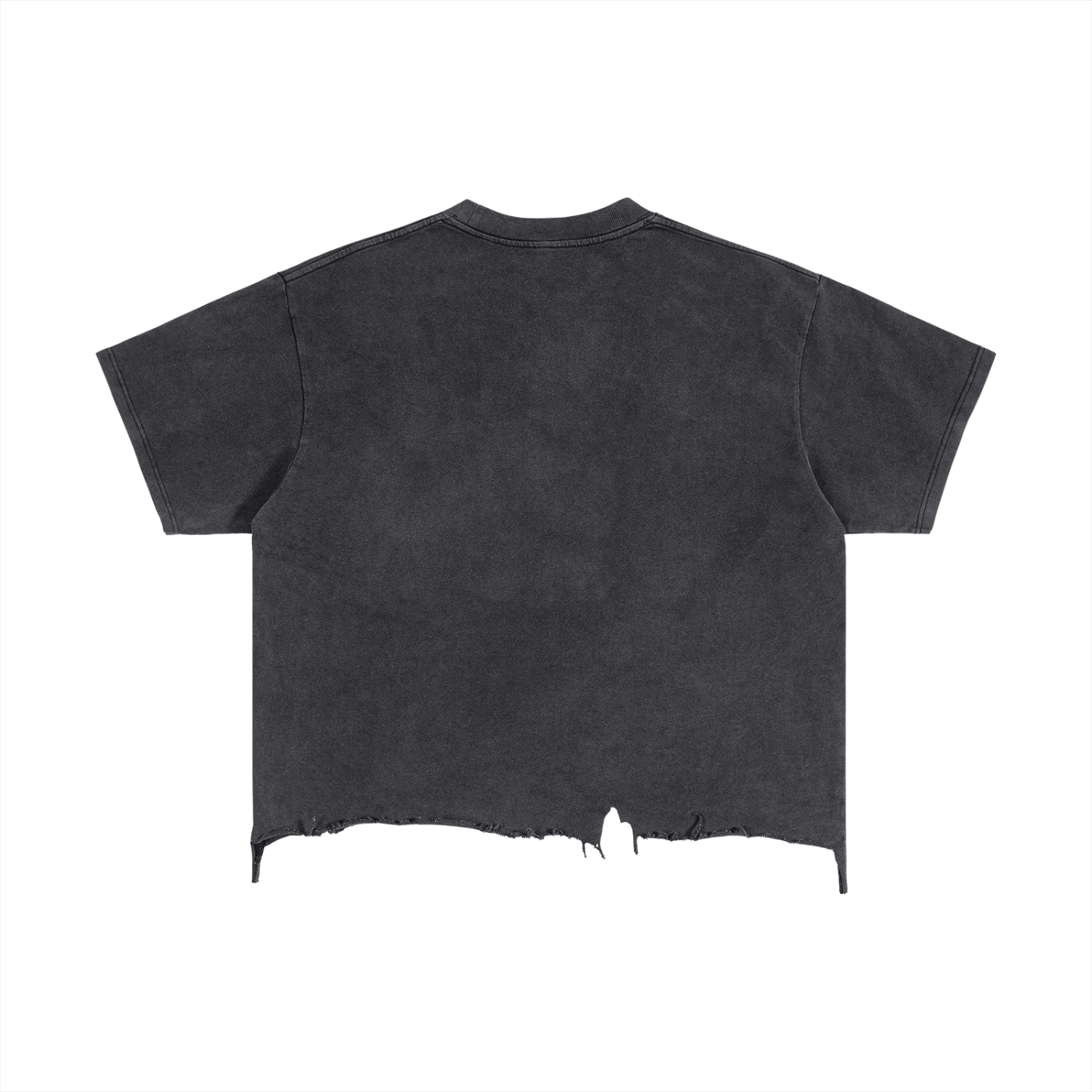 Distressed Crop Tee – Front
