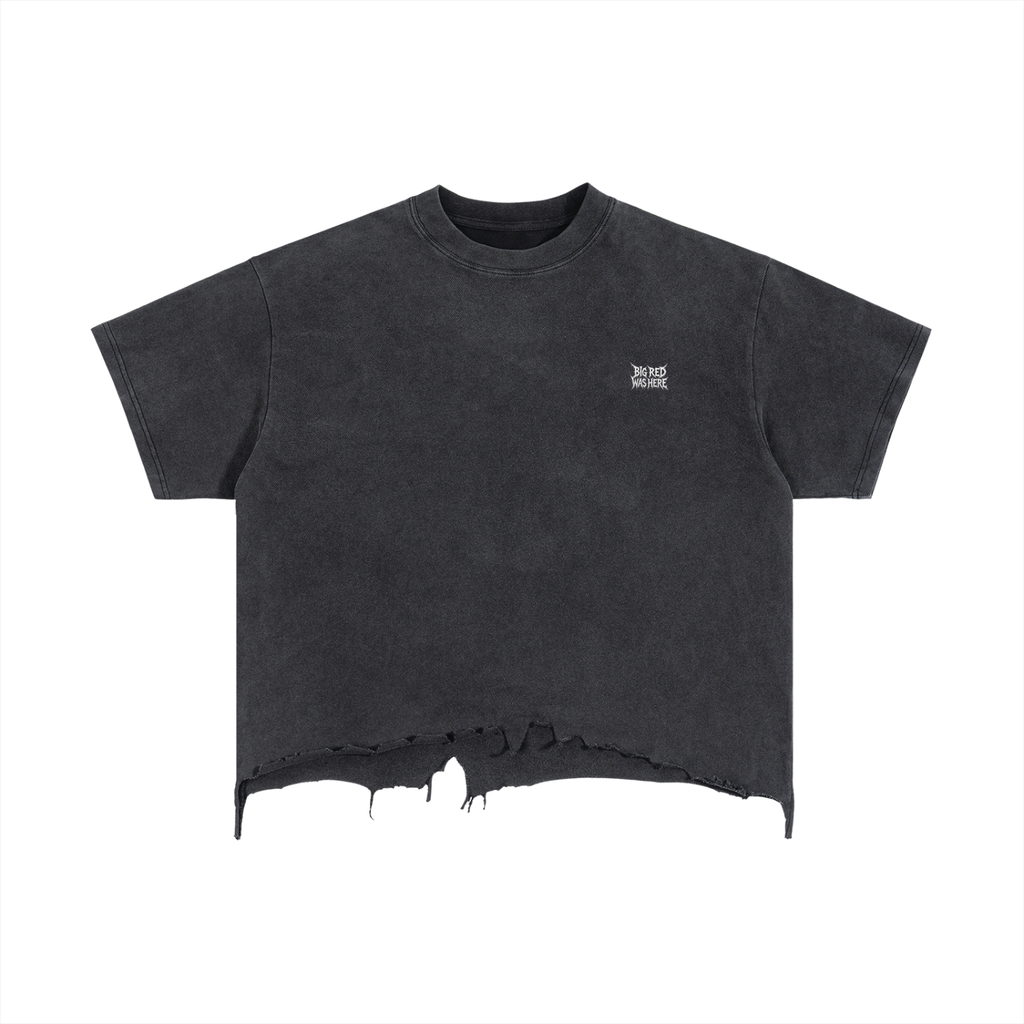 Distressed Crop Tee – Back