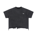 Distressed Crop Tee – Back