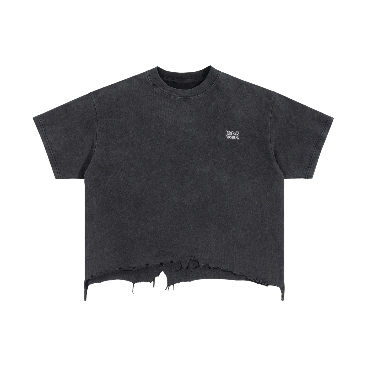 Distressed Crop Tee – Back